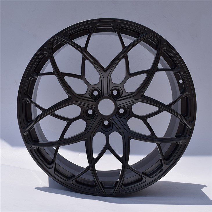 20/21 Inch Brushed+Painted Forged Car Wheel Rims